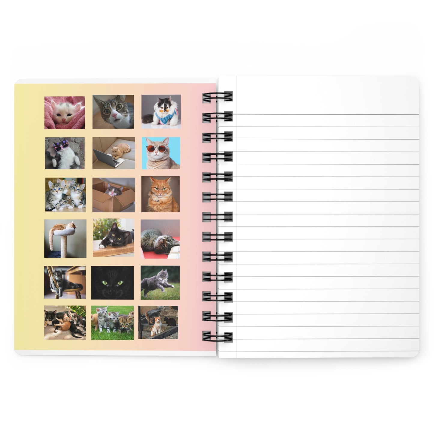 Kitty Khronicles Spiral Bound Journal – Capture Your Feline Adventures