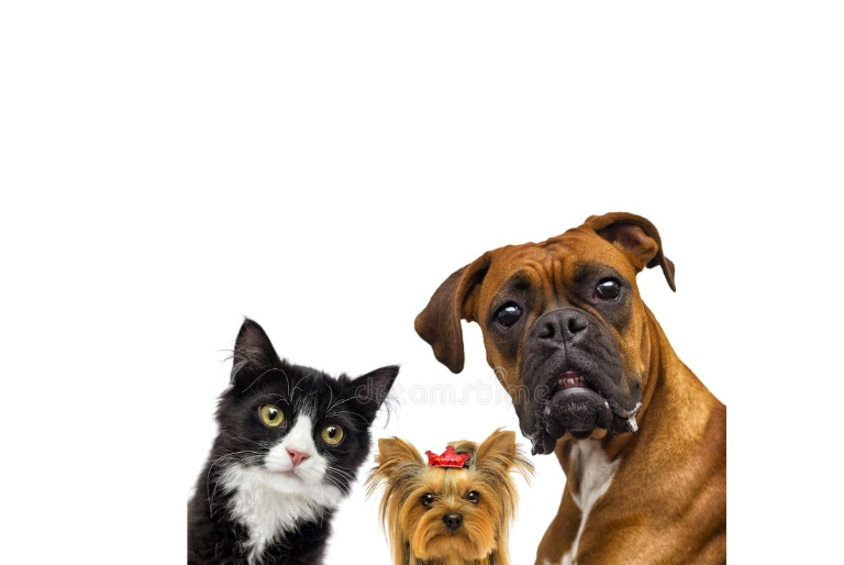 Pet Lovers Collection